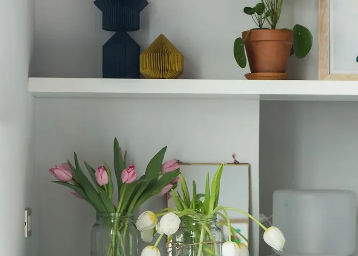 Greenhouse By Costanza *