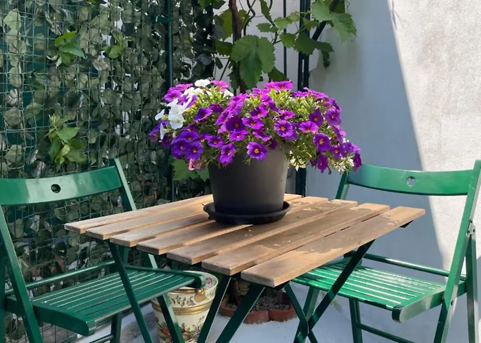 Grazioso Monolocale 아파트 *