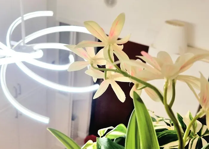 Isola Brera Duomo - Antica Atmosfera - Lovable Cozy Appartamento