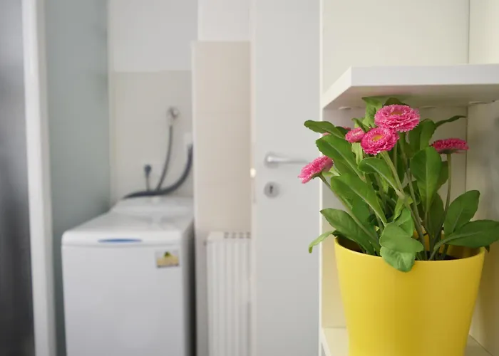 Chic Joivy Flats In The Centre