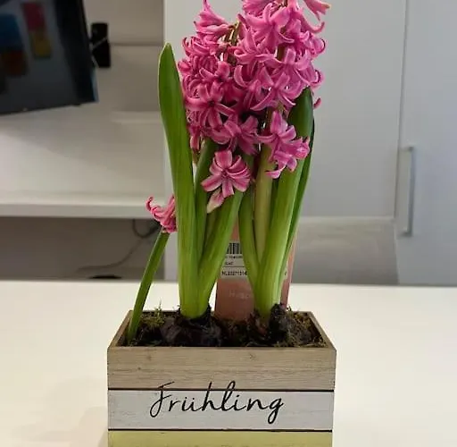 Apartmán Il Nido Del Centro Storico-a Due Passi Dai Navigli E Dal Duomo Milán