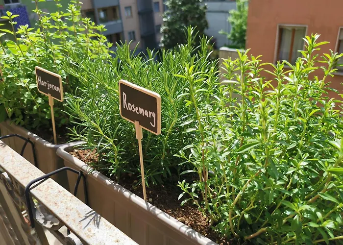 Spacious 50 Meters From The Metro 아파트 *