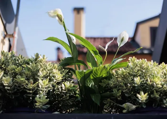 Appartement Urban House - Bright House Navigli Center