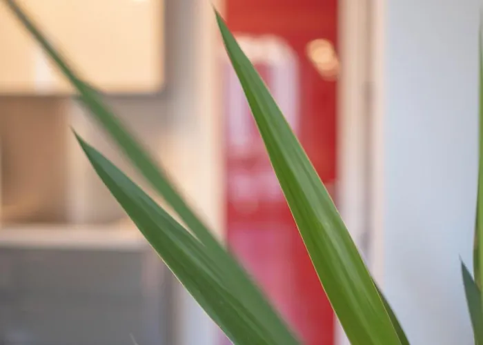 Lejlighed Marla Brera Center *