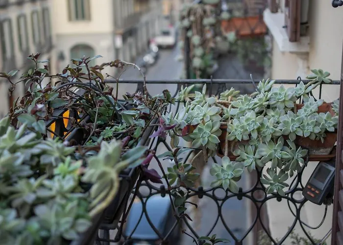 Marla Brera Center *