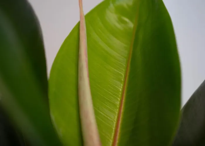 Marla Brera Center Lejlighed Milano