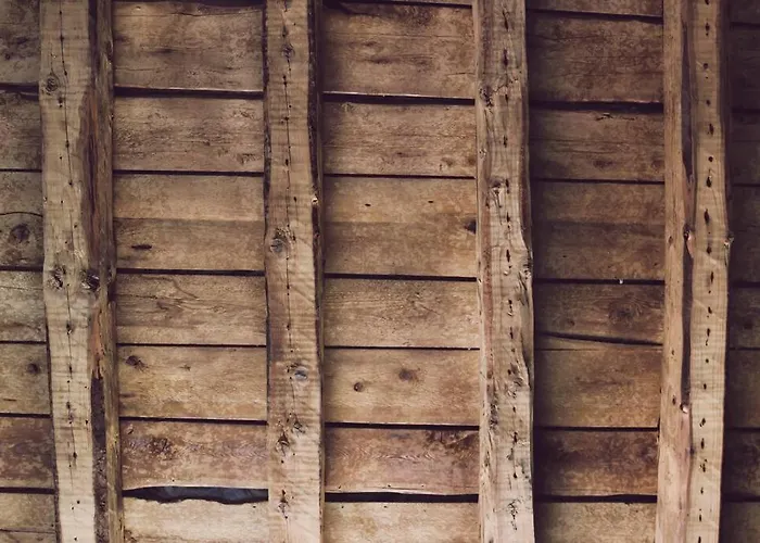 Yellow House By Costanza