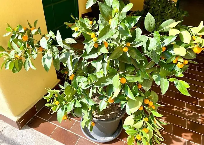 Casa Bocconi, Navigli, Porta Romana, * Milano