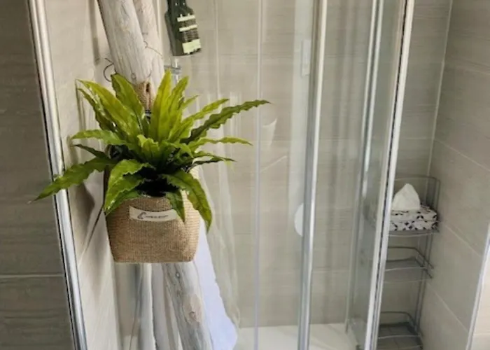 Cozy Gambara - Sansiro