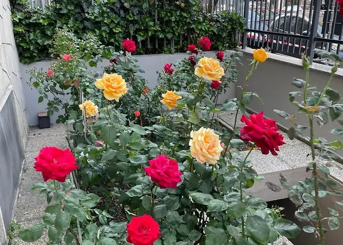 Beautiful In דירה