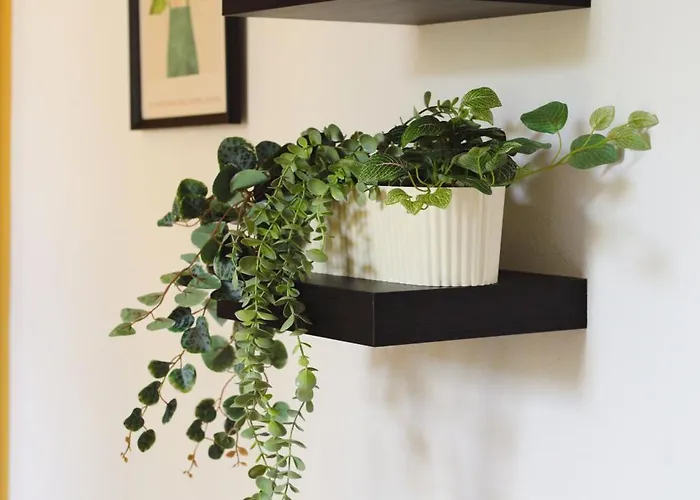 Navigli Tradizionale Con Giardino Milánó