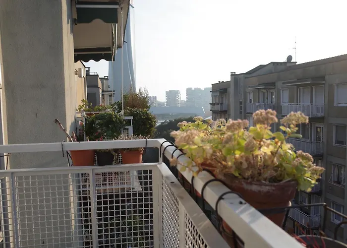 Momo House Citylife *