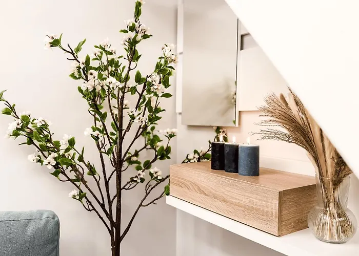 Serenity Chinatown Sarpi - Monolocale Yang Apartment