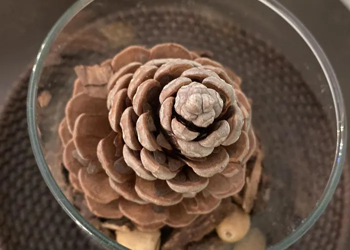 Note D'artista-duomo 15 Minutes *