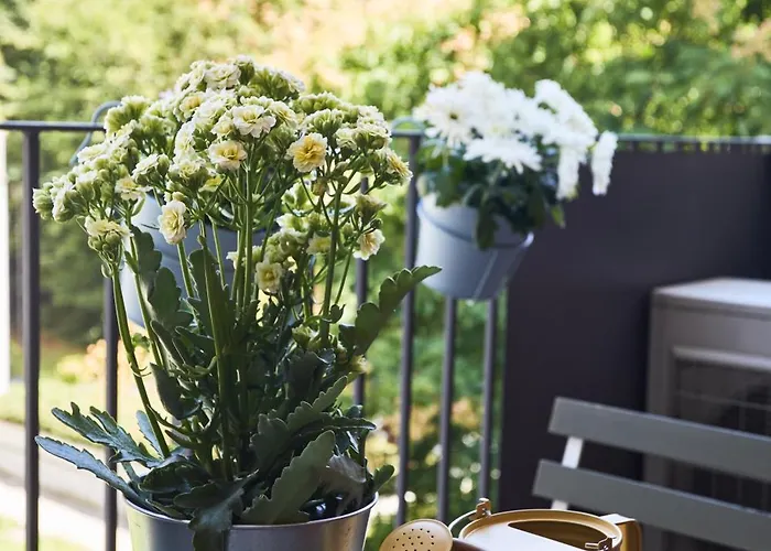 Апартаменты Deluxe Navigli