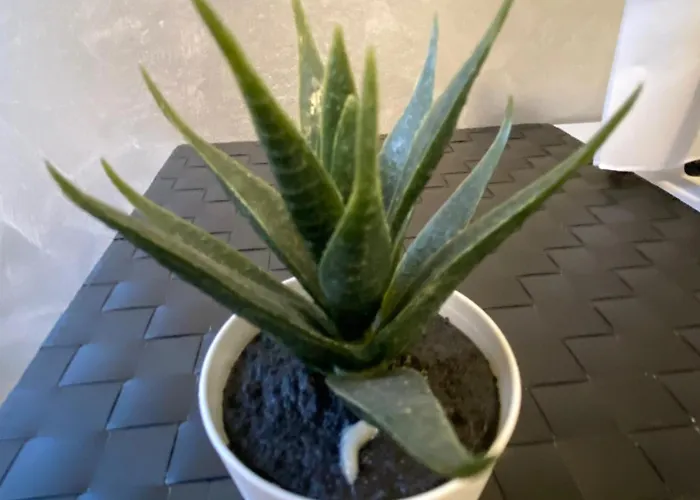 Appartamento Elegant Appartament Milano