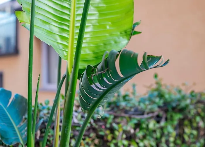 Duomo - Jacuzzi E Terrazzo - Cinema - Free Parking - Gym Villa *