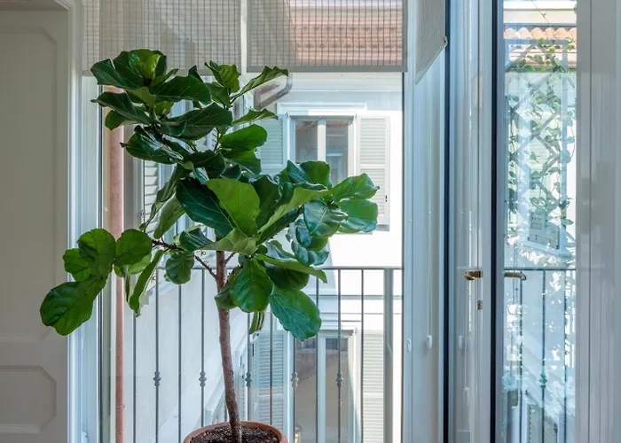 Апартаменты Rocco House Via Manzoni Милан