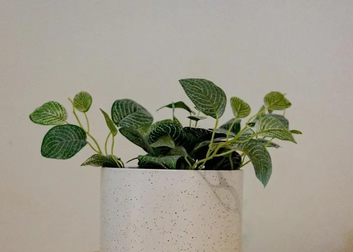 Charme Loft - 5 Min Duomo דירה *