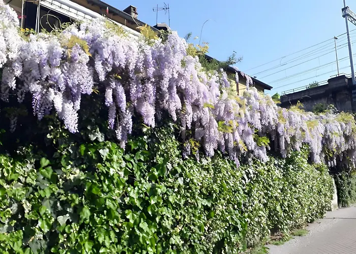 Somaré Appartement *