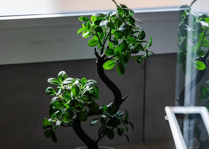 Botticelli 24 * Milano