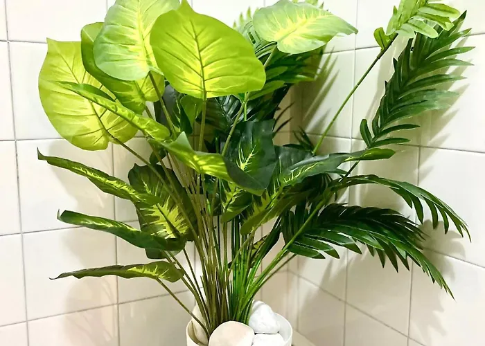 Golden Star מילאנו