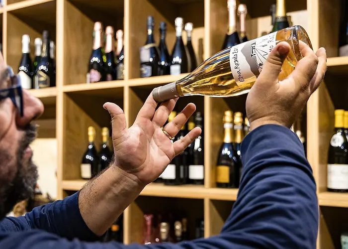 Hotel Cavalluccio Marino Milano