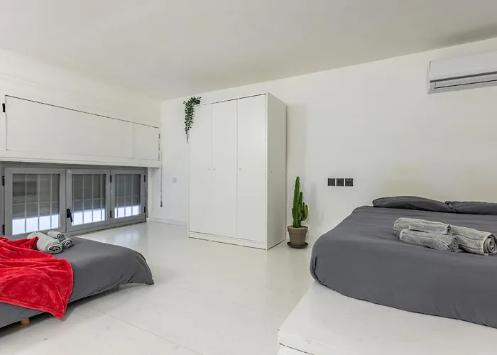 شقة Trilocale Nolo