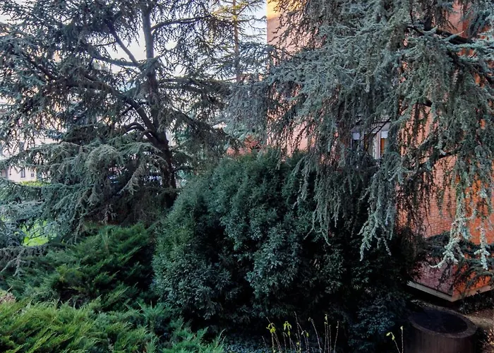 Porta Romana Design *