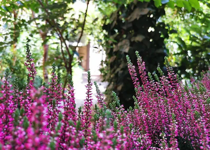 Cozy Flat 50 Meters From The Metro Lejlighed Milano