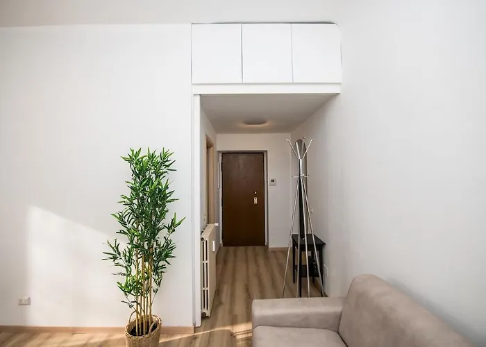 Shortmi Buenos Aires