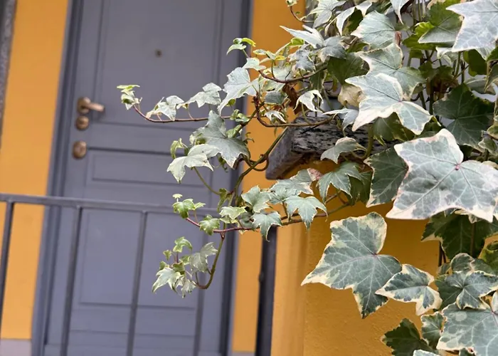 Gionas - Casa Indipendente In Zona Strategica * Μιλάνο