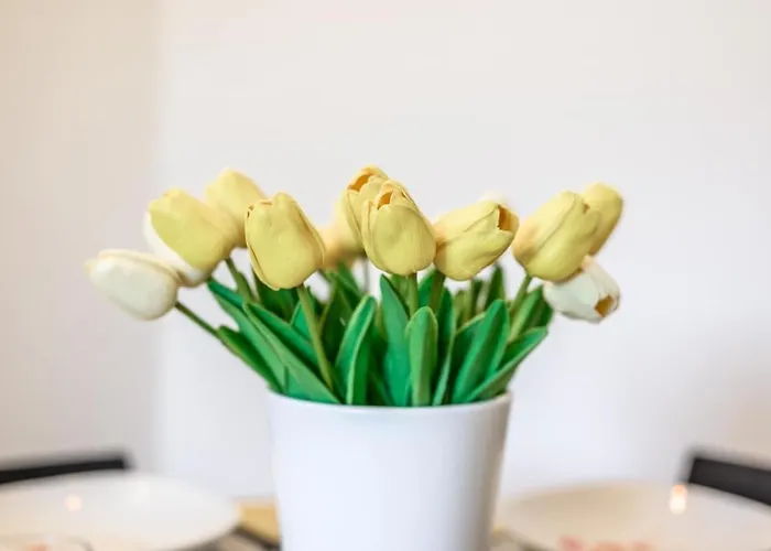 Duomo Design - Bilocale-wifi-ac