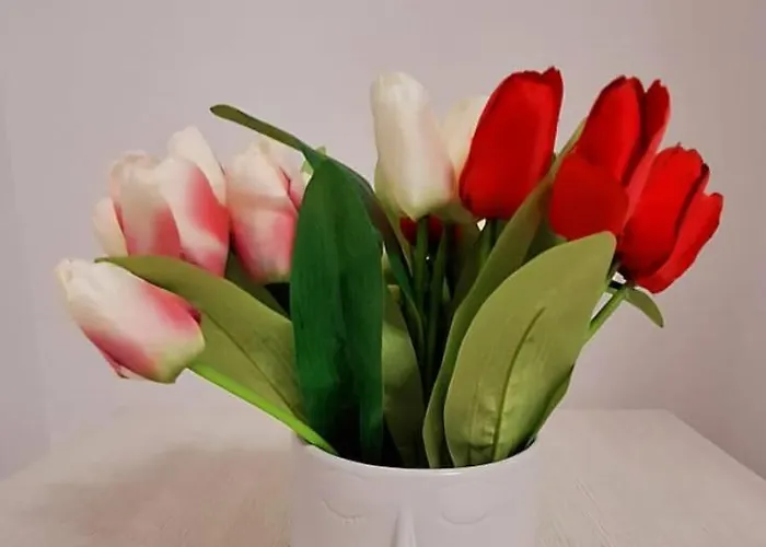 Real Estate Dream 4* Milano