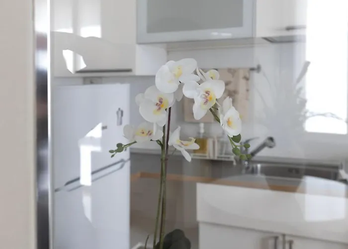 Frühstückspension Brera