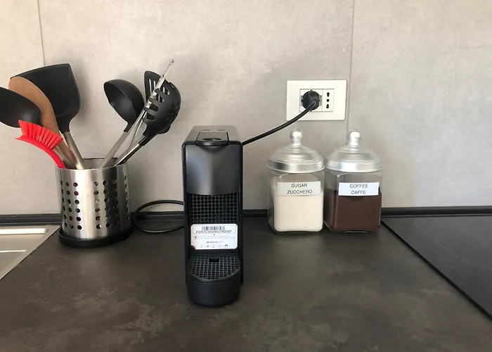 Music House - Carozzi