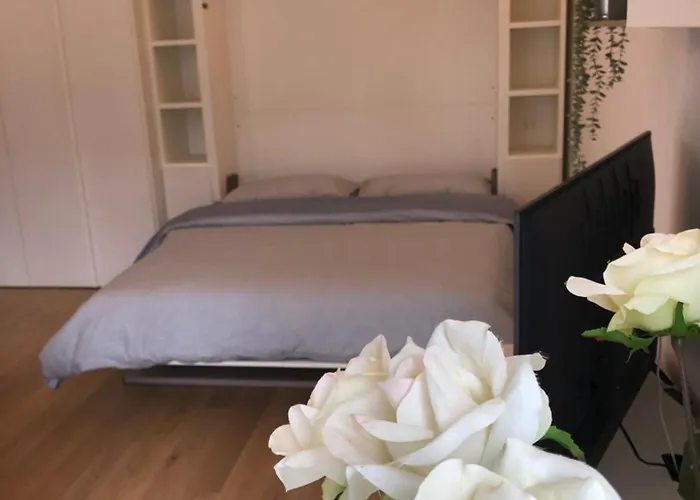 Апартаменты Music House - Carozzi