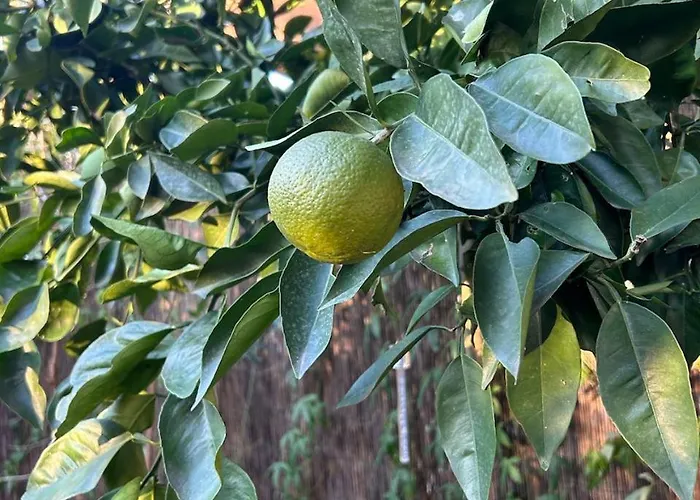 Gasthof With Terrace And Loft With Garden In Naviglio Pavese *