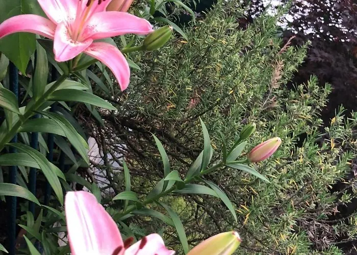 With Terrace And Loft With Garden In Naviglio Pavese * Mailand