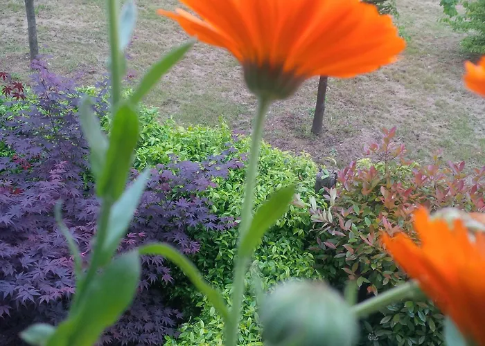 With Terrace And Loft With Garden In Naviglio Pavese Gasthof Mailand