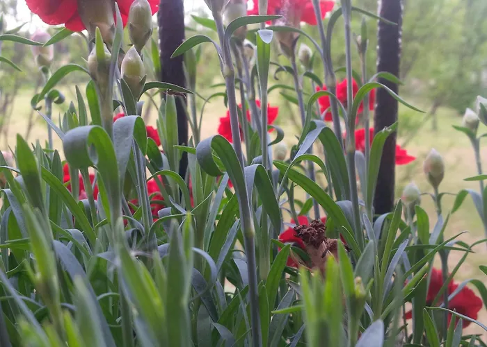 With Terrace And Loft With Garden In Naviglio Pavese Gasthof Mailand