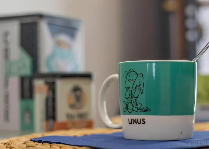 Apartment Stradivarius House - Carozzi *