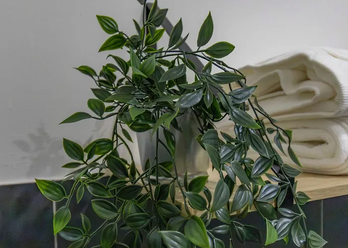 Stradivarius House - Carozzi * Mailand