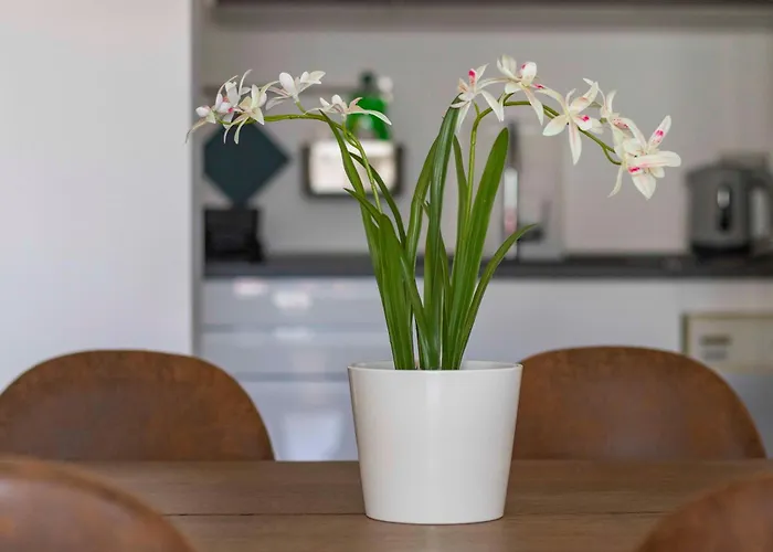 Apartament Bright House - Carozzi