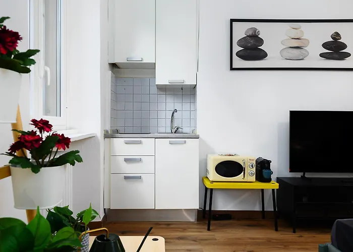 Insubria 8-dx - Monolocale Cool