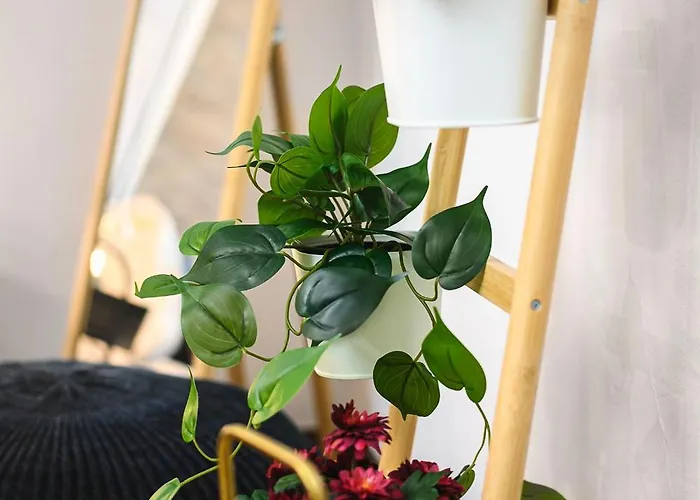 Insubria 8-dx - Monolocale Cool Apartmán *