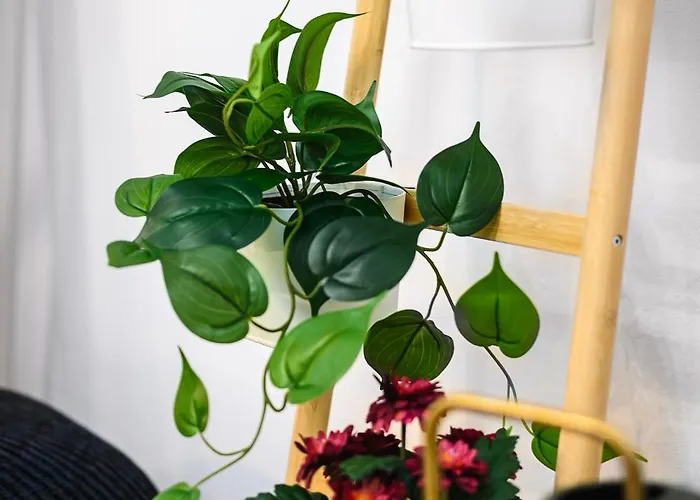 Insubria 8-dx - Monolocale Cool Apartmán Milán