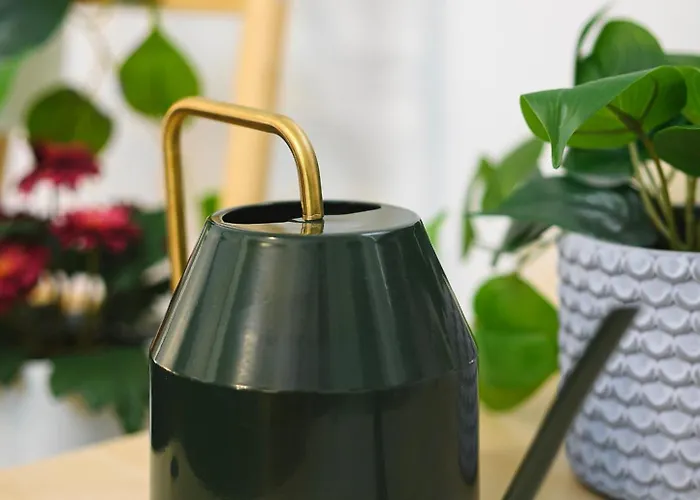 Insubria 8-dx - Monolocale Cool Milán