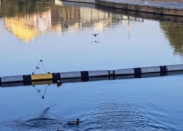 Sunday's Flat/monolocale Zona Bocconi * Milán