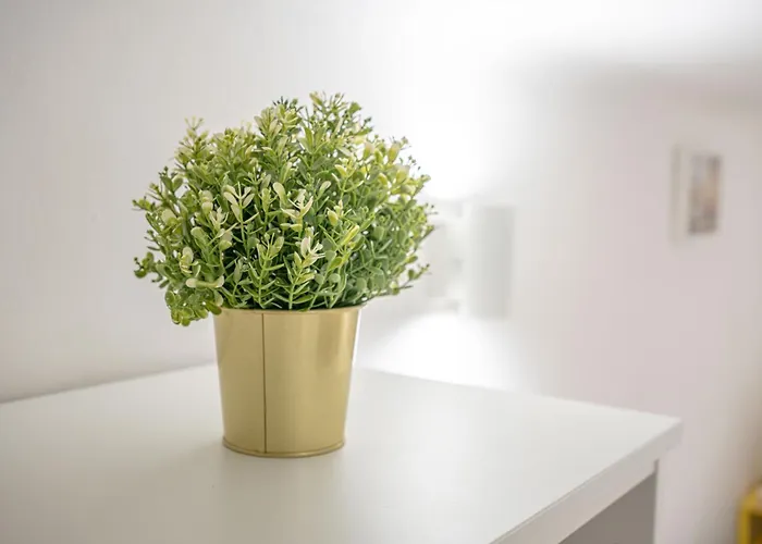 Apartment Metro Yellow